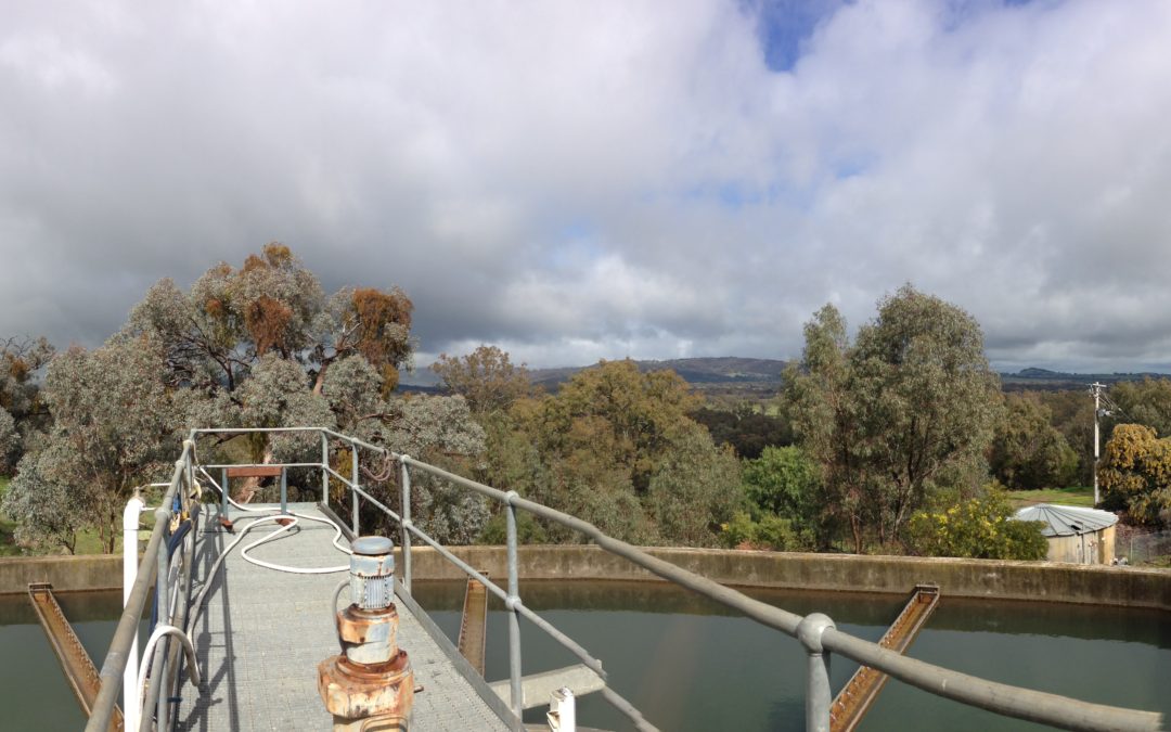 Euroa Water Quality Investigation